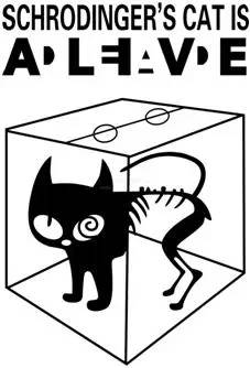 薛定谔的猫